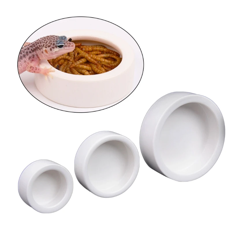 Керамическая миска для корма р – обзор и цена Water Dish Reptile